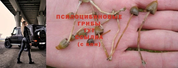 Альфа ПВП Абдулино