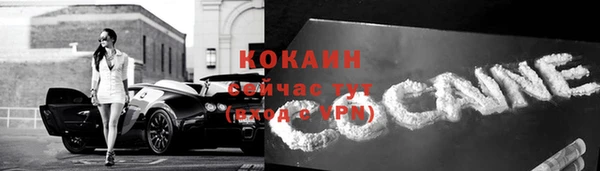спайс Алзамай