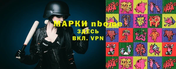 альфа пвп Елизово