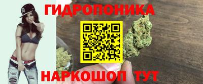 jwh Будённовск