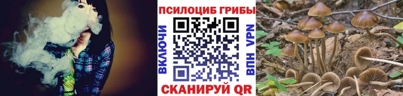 Галлюциногенные грибы Magic Shrooms Ярцево