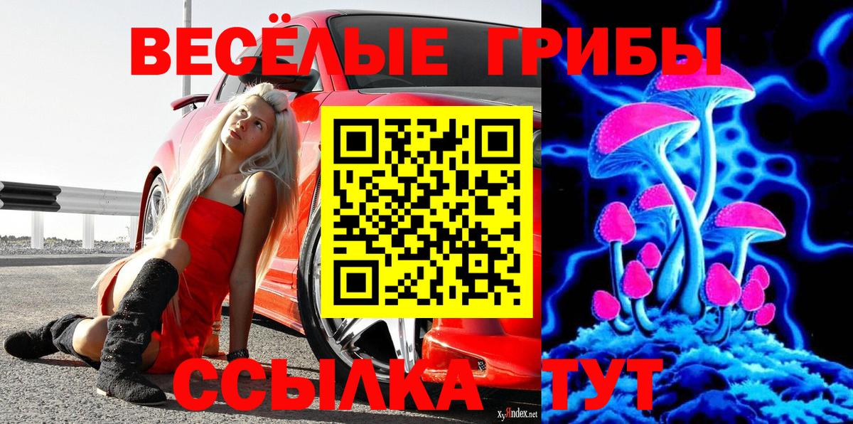 Ярцево  Галлюциногенные грибы ЛСД  Вход с VPN  Псилоцибиновые грибы мухоморы 