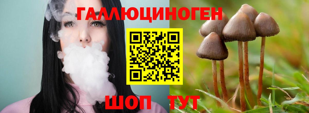 Псилоцибиновые грибы Cubensis Ярцево